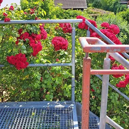 Lägenhet Romantische-ferienwohnung-steuerbord