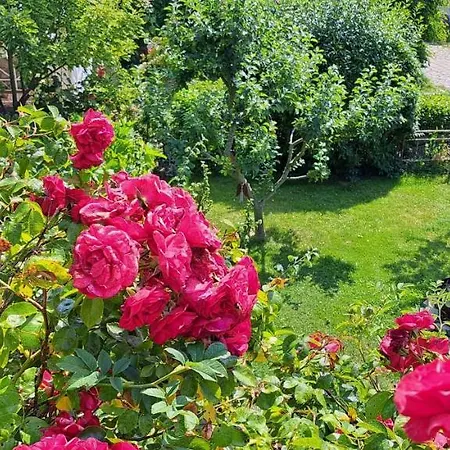 Romantische-ferienwohnung-steuerbord Lägenhet Wiek auf Rügen